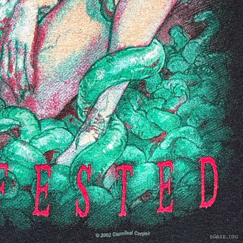 Textile with green fabric and red 'INFEESTED' letters 2002 licensing hit, featuring a brand logo.